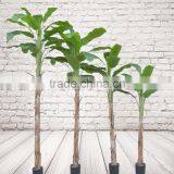 Artificial Banana Tree for Garden Landscape, Decorative Artificial Plant thumbnail-3