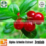 Buy high quality pure powder organic alpha arbutin for extract bearberry leaf p.e