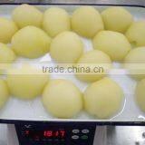 Fresh Canned Pear in Syrup for Wholesale thumbnail-1