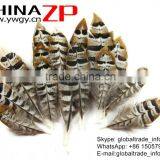 CHINAZP Bulk Sale Selected Prime Quality Natural 5-10cm Size Reeves Venery Pheasant Feathers for DIY Decorations thumbnail-2