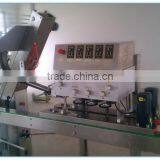 LTCG-160 Automatic Bottle Cap Lidder Machine thumbnail-1
