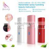 Professional Chinese herbal face steamer,facial sauna , handset nano mister