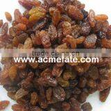 Best Price Red Raisin From China