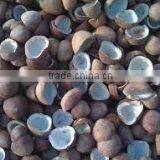 High Quality Decilious Cheap Copra From India thumbnail-1