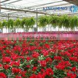 Flower And Vegetable Growing Greenhouse thumbnail-3
