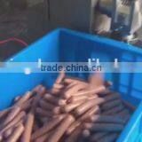 Automatic Sausage Casing Remove Machine/sausage Peeling Machine thumbnail-3