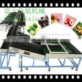 Fruit Sorting Machine