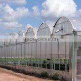 Galvanized Steel Multi Span Poly Film Tomato Greenhouse Design