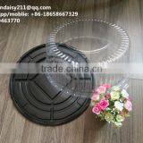 10 Inch Disposable Feature and Cake Industrial Use Plastic Cake Dome Containers, Custom LOGO Accept thumbnail-2