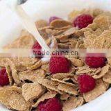 High Quality Breakfast Cereals Processing Line