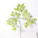 Guangzhou Shengjie Fire Retarant Ficus Leaves/banyan Tree Leaf With Resistence thumbnail-4