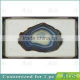 Marine Plants in Shadow Box Frame thumbnail-1