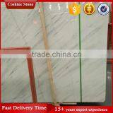 White Marble With Black Vein thumbnail-4