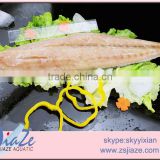 High Quality Seafood Product Natural Fillet Frozen Mahi Mahi Fillets