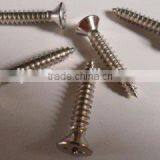 Countersunk Head Nickel Plating Self Tapping Screw in Guangzhou thumbnail-1