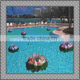 Solar Lights Garden thumbnail-1