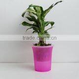 Creative Self Watering Flower Pot , thumbnail-2
