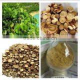 New Licorice Herb Licorice Extract Powder/granule Licoflavone Glycyrrhizic Acid Benefit for Stomach thumbnail-3