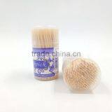 Barbecue 200pcs Toothpicks Bottle Toothpick Fruit Toothpick thumbnail-4