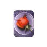 Sell 1.56 Progressive Lens (China (Mainland)) thumbnail-1