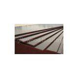 Poplar and Hardwood Brown Film Faced Plywood / FFP Sheets for Construction Material thumbnail-1