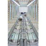 Observation Elevator thumbnail-1