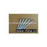 Common Nails thumbnail-1