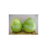 Fresh Grapefruit thumbnail-1