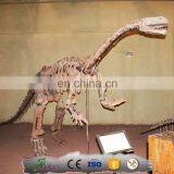 KAWAH Museum Exhibition Display Fake Fiberglass Dinosaur Bone thumbnail-4