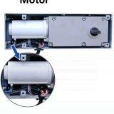 The Hot Sale Ground Spring Automatic Door Motor DSW-3