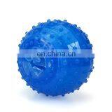 Summer Cooling ICE Pet Toys Interactive Toy Freeze Ball Bouncy Ball for Dog