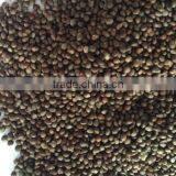 2014crop Organic Perilla Seeds thumbnail-2