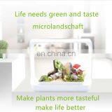 Full Spectrum White Light Grow Lights 4000K/6000K Grow Lamp For Indoor Plants thumbnail-6