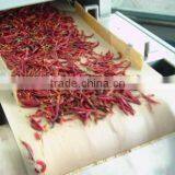 Automatic High Quantity Microwave Vegetable Drying Equipment thumbnail-6