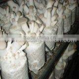 Guangzhou Lianguan Trade Limited Company company overview - view 2 thumbnail