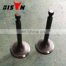 BISON Diesel Engine Water Pump Check Valves Foot