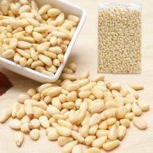 Wholesale Wild Raw Dried Seeds of Organic Pine Nuts Kernels for Snacks thumbnail-5