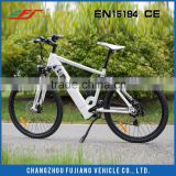 Good quality 250W chinese electric bike, electric bike battery with rear shock EN15194