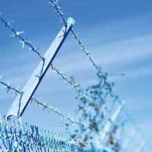 Wholesales Fencing Hot Dipped Galvanized Barbed Wire thumbnail-6