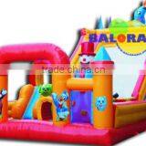 Inflatable Dolphin Playground, 2015 Giant Playground, Inflatable Bounce House