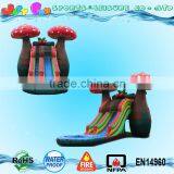 Mushroom Water Slide With Pool for Kids thumbnail-2