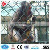 High Quality Chain Link Fence( Pvc Coated and Galvanized)