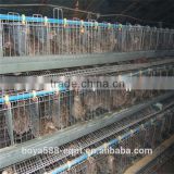 Manufacture manual and automatic A type poultry broiler cage meat chicken cage