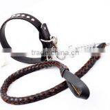 Eco-friendly Pet Collar Manufacturer, Dog Collar Chain Dog Products thumbnail-1