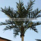 2014 New Product LED Lighting Palm Trees Outdoor Lighted Palm Trees Streetlight Tree China Manufacturer