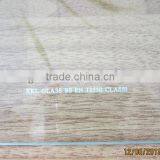 3mm Tempered Glass/Toughened Glass for Building thumbnail-1