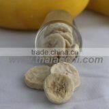 Vacuum Freeze Dried Banana " HOM " From Thailand Certified HACCP, ISO 22000 , GMP , HALAL and KOSHER thumbnail-4