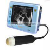 Best Selling High Quality House Pet B Mode Ultrasonic Diagnostic Instruments thumbnail-1