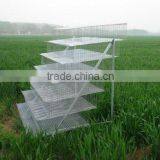 zhenhua high quality automatic egg chicken laying cage