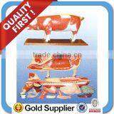 Teaching Pig Anatomical Model for Students Learning